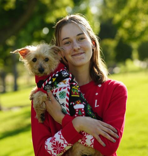Dog Christmas Sweaters