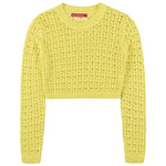 SOCAL LOOK Women’s Crochet Cotton Crop Top Long Sleeve Crew Neck