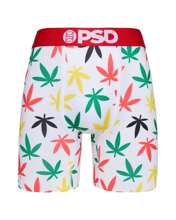 PSD Men's Rasta Boxer Briefs Multi Color