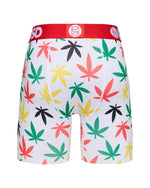 PSD Men's Rasta Boxer Briefs Multi Color