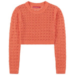 SOCAL LOOK Women’s Crochet Cotton Crop Top Long Sleeve Crew Neck
